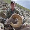 Image 2 : NEW MEXICO ROCKY MOUNTAIN BIGHORN SHEEP PERMIT