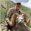 Image 4 : NEW MEXICO ROCKY MOUNTAIN BIGHORN SHEEP PERMIT