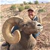 Image 5 : NEW MEXICO ROCKY MOUNTAIN BIGHORN SHEEP PERMIT