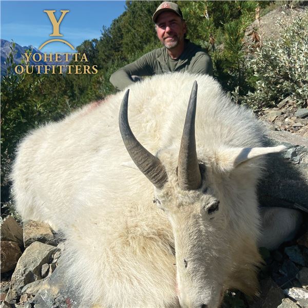 10-DAY ROCKY MTN GOAT, BLACK BEAR & amp; WOLF HUNT FOR 1 HUNTER AND 1 NON- HUNTER