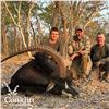 Image 2 : 5-DAY SABLE ANTELOPE HUNT IN ZAMBIA FOR 1 HUNTER AND 1 NON-HUNTER (Trophy fee for 1 sable ( $ 8,000)