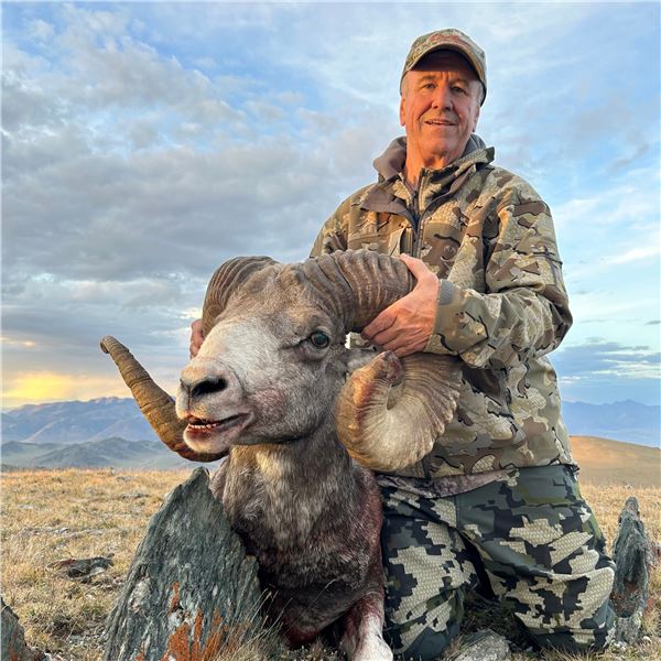 ALTAI ARGALI CONSERVATION PERMIT IN MONGOLIA