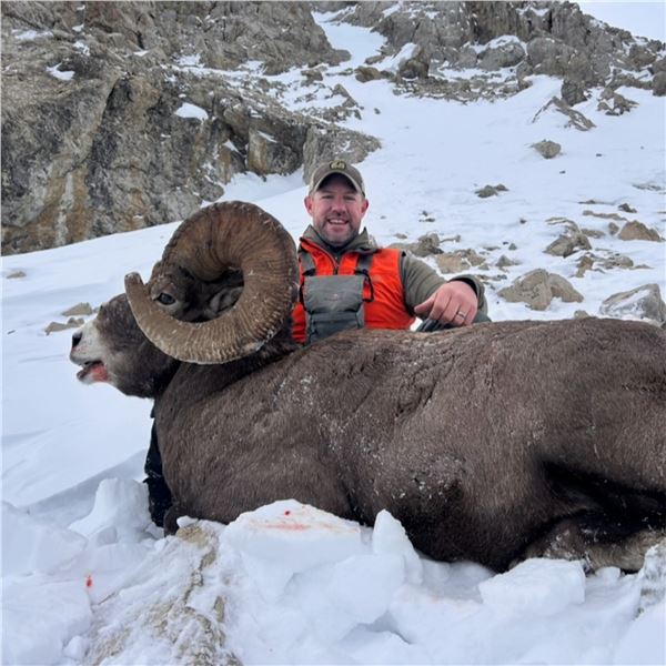 BLACKFEET NATION BIGHORN SHEEP PERMIT