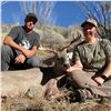 Image 2 : 5 - DAY COUES DEER HUNT FOR 1 HUNTER IN ARIZONA
