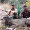 Image 7 : 5 - DAY COUES DEER HUNT FOR 1 HUNTER IN ARIZONA