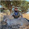 Image 9 : 5 - DAY COUES DEER HUNT FOR 1 HUNTER IN ARIZONA