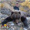 10-DAY SPRING GRIZZLY BEAR & WOLF HUNT FOR 1 HUNTER