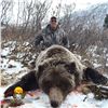 Image 2 : 10-DAY SPRING GRIZZLY BEAR & WOLF HUNT FOR 1 HUNTER