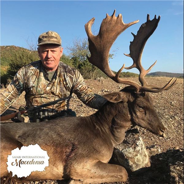 5-day Fallow deer and European mouflon (any size) for 1 hunter and 1 non-hunter