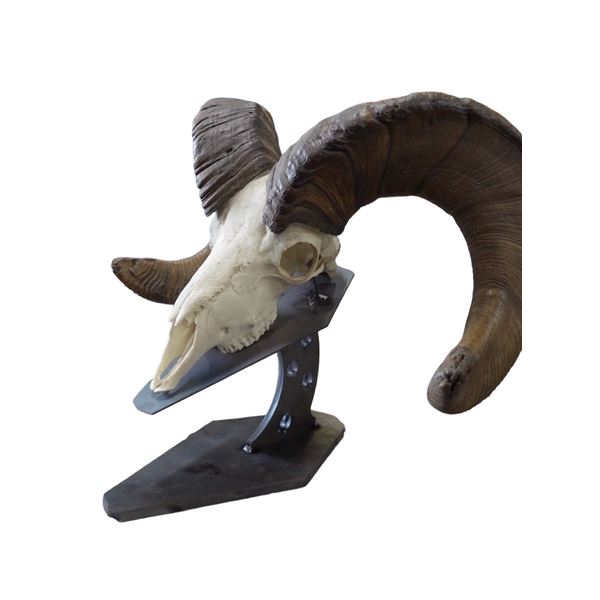 Montana Metal Art - Custom WSF European Mount Base