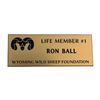 Image 1 : WY-WSF Life Membership