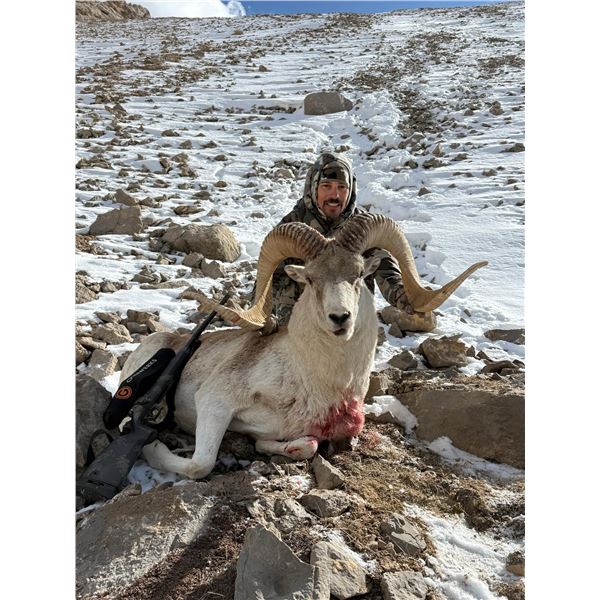 12-DAY VIP MARCO POLO HUNT IN KYRGYZ REPUBLIC FOR 1 HUNTER
