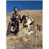 Image 3 : 12-DAY VIP MARCO POLO HUNT IN KYRGYZ REPUBLIC FOR 1 HUNTER