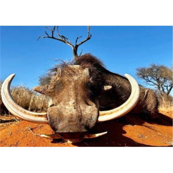 VINTAGE AFRICA SAFARIS: 6-Night 7-Day Hunting Trip in Limpopo South Africa for One Observer & One Hu