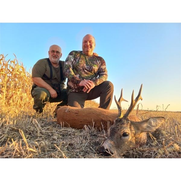 SAFARI ART: 6-Nights, 3-Hunting Days Roe Deer Hunt in Serbia