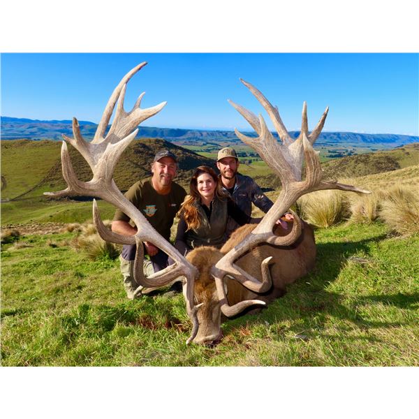 NEW ZEALAND SAFARIS: 4-Day Guided Wallaby and Fallow Deer Hunt for 2 Hunters and 2 Observers in New