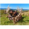Image 1 : NEW ZEALAND SAFARIS: 4-Day Guided Wallaby and Fallow Deer Hunt for 2 Hunters and 2 Observers in New