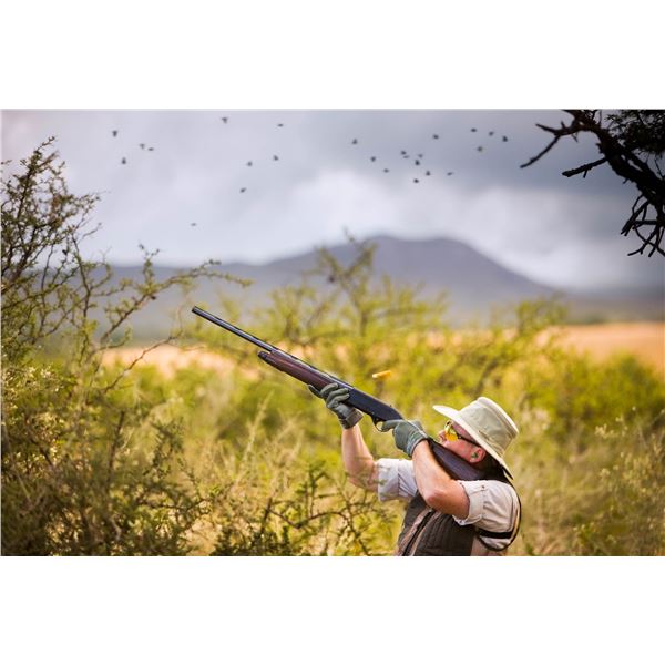 ARGENTINA PUELO EXPEDITIONS: 4-Day, 3-Night Dove Hunt in Cordoba Argentina for Three Hunters