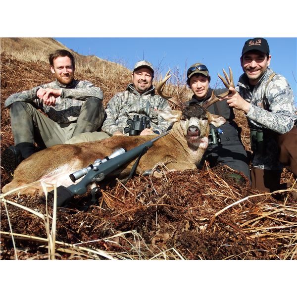JOEY KLUTSCH'S KATMAI/ANIAKCHAK GUIDE SERVICE: Sitka Blacktail Deer Hunt on Kodiak Island, AK