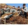 Image 1 : JOEY KLUTSCH'S KATMAI/ANIAKCHAK GUIDE SERVICE: Sitka Blacktail Deer Hunt on Kodiak Island, AK
