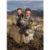 Image 2 : JOEY KLUTSCH'S KATMAI/ANIAKCHAK GUIDE SERVICE: Sitka Blacktail Deer Hunt on Kodiak Island, AK
