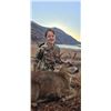 Image 3 : JOEY KLUTSCH'S KATMAI/ANIAKCHAK GUIDE SERVICE: Sitka Blacktail Deer Hunt on Kodiak Island, AK
