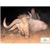 Image 2 : SPIRALHORN SAFARIS: 5-Day Limpopo Safari for Two Hunters and Two Observers