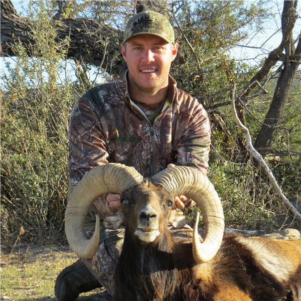 TEXAS DIVIDE RANCH: 2-Day, 1x1 Guided Red Sheep Ram Hunt in West Texas for One Hunter
