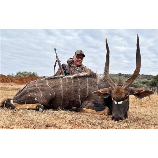 LEEUWKOP HUNTING SAFARIS: 7-Night, 5 Animal Safari for One Hunter and One Observer in South Africa