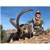 Image 1 : TROPHY HUNTING SPAIN: European Roe Deer Hunt for Two Couples in Catalonia, N.E. of Spain