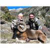 Image 2 : TROPHY HUNTING SPAIN: European Roe Deer Hunt for Two Couples in Catalonia, N.E. of Spain