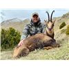 Image 3 : TROPHY HUNTING SPAIN: European Roe Deer Hunt for Two Couples in Catalonia, N.E. of Spain