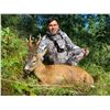 Image 6 : TROPHY HUNTING SPAIN: European Roe Deer Hunt for Two Couples in Catalonia, N.E. of Spain