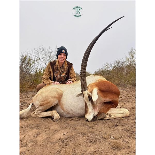 RESERVE RANCH: 3-Day Texas Hunt for Scimitar Horned Oryx for One Hunter and One Observer