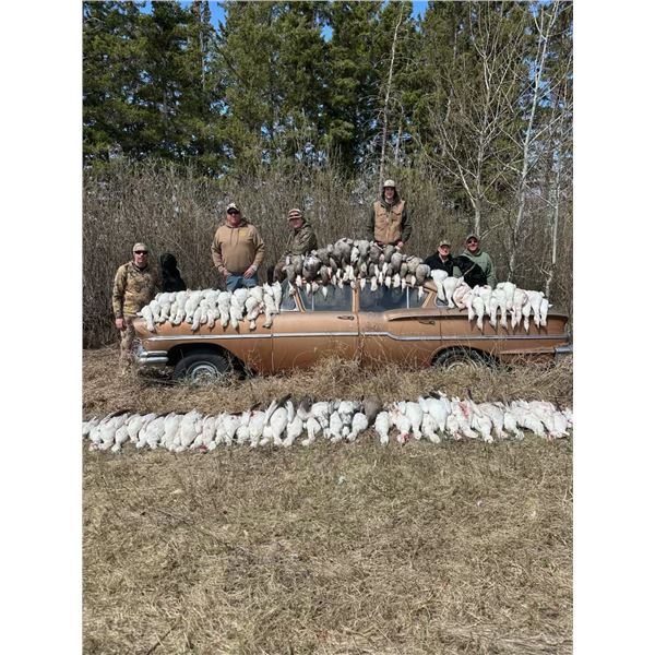 DUCK CREEK OUTFITTERS: Spring Snow Goose Hunt of a Lifetime in Saskatchewan for Two Hunters