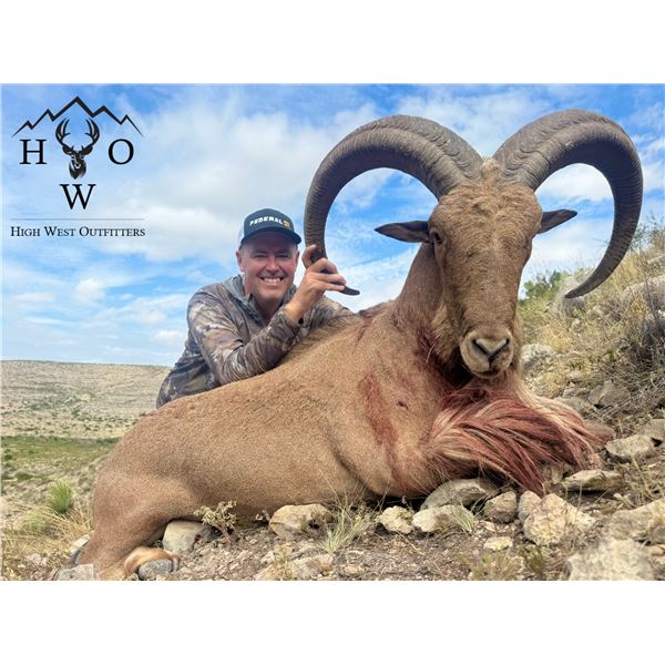 HIGH WEST OUTFITTERS: Aoudad (Barbary Sheep) Hunt in the High Deserts of the Trans-Pecos Region of W