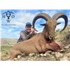 Image 1 : HIGH WEST OUTFITTERS: Aoudad (Barbary Sheep) Hunt in the High Deserts of the Trans-Pecos Region of W