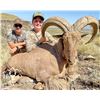 Image 2 : HIGH WEST OUTFITTERS: Aoudad (Barbary Sheep) Hunt in the High Deserts of the Trans-Pecos Region of W