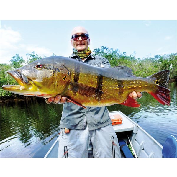 RIVER PLATE ANGLERS & WINGSHOOTING: 6-Day, 2x1 Peacock Bass Fishing Trip for Two Anglers in Brazil