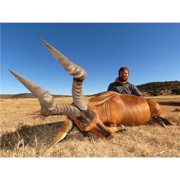 JANNIE OTTO SAFARIS:  6-Day Hunt for Four, Including Twelve Trophies in South Africa