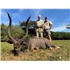 Image 1 : AFRICA MAXIMUM SAFARIS: Nyala, Bushbuck, Impala Safari for 2 Hunters on the Mountains of the Magalie