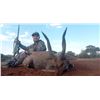 Image 3 : AFRICA MAXIMUM SAFARIS: Nyala, Bushbuck, Impala Safari for 2 Hunters on the Mountains of the Magalie