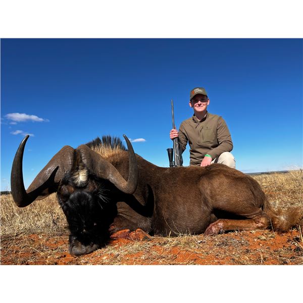 CAPE TO CAIRO SAFARI: 5-Day Plains, Exotic, and Dangerous Game Hunt in South Africa for Two Hunters