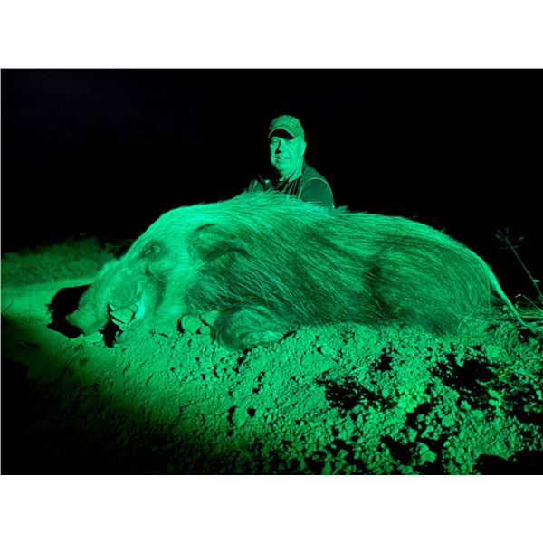 KOWIE RIVER SAFARIS: 7-Day African McNab Hunt and Caracal with Hounds for Two Hunters