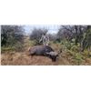 Image 1 : EASTCAPE & KAROO SAFARIS: "Father & Son" 4-Day Adventure in South Africa