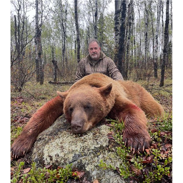 FULL BOAR OUTFITTERS: 5-Day Black Bear Hunt for Up to Four Hunters and One Observer in Canada