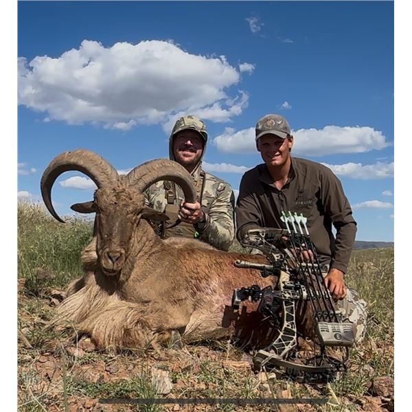 ROWDY MCBRIDE HUNTING SERVICES: 3-Day West Texas Aoudad Hunt for One Hunter and One Observer