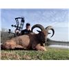 Image 2 : CEDAR COVE RANCH: 3-Day, 2-Night All Inclusive Stay in East Texas With Trophy Aoudad or Blackbuck Hu