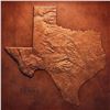 Image 2 : COLUMBIA PRESSWORKS: 40 x 40 Leather Texas Topography Map