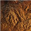 Image 3 : COLUMBIA PRESSWORKS: 40 x 40 Leather Texas Topography Map